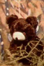 Little Bear Story poster